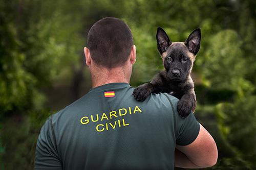 Europol's tweet image. Congrats to @guardiacivil &amp;amp; @PoliceLux, the top 3 prizewinners of our #lawenforcement #EuropolPhotoCompetition!