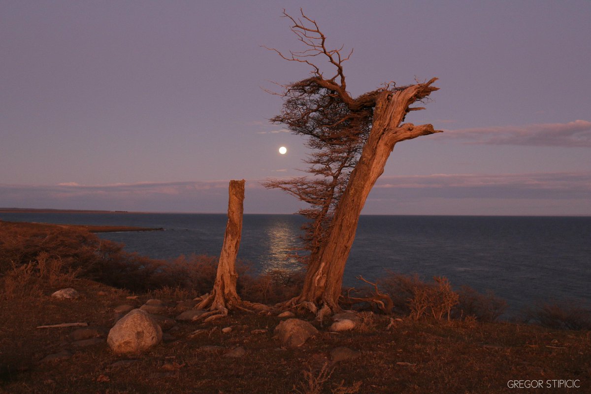 Y siguiendo con la bellezas captadas previo a Eclipse Lunar en  #IslaRiesco , para muestra un botón!