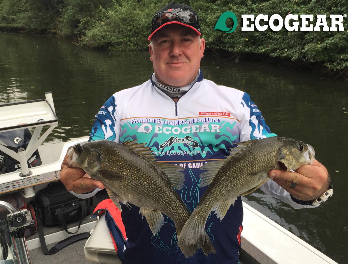 ProBreamFish's tweet image. Nailed some fine Australian Bass on the weekend