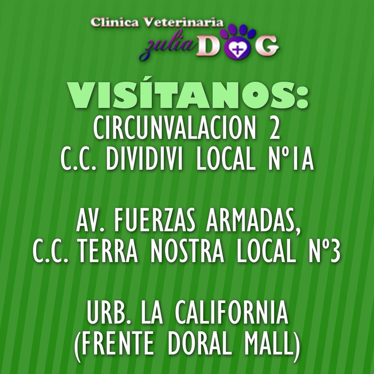 ZuliaDog's tweet image. No pierdas tiempo, visítanos en nuestras sucursales y descubre los mejores servicios y productos para tu mascota.