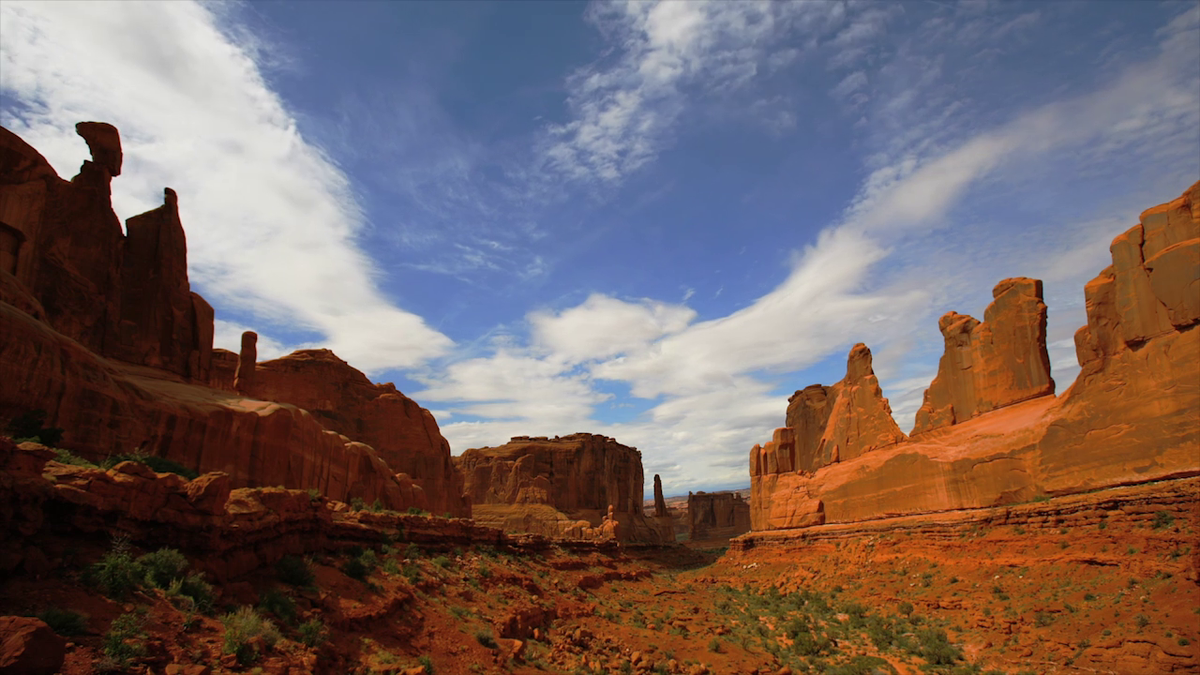 NatureCastApp's tweet image. There are many new videos to enjoy.