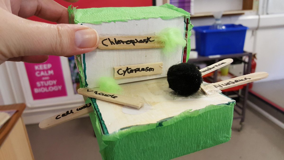 Trinity Science tweet media