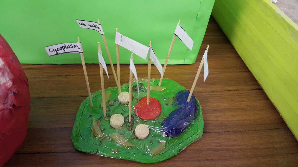 Trinity Science tweet media