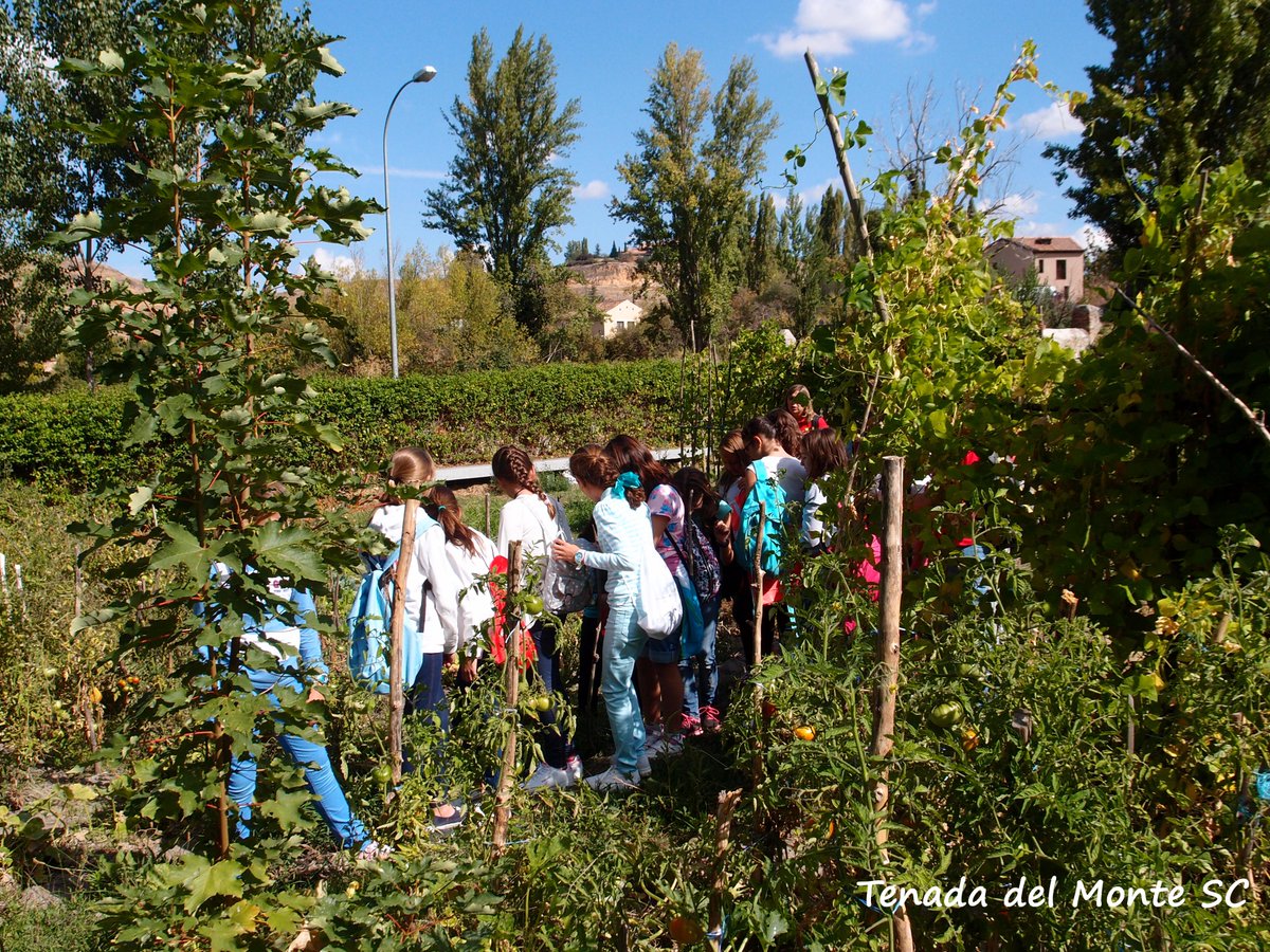 Con un grupo de escolares esta mañana enseñando la cacera de San Lorenzo y las huertas <a href="/TurismoSegovia/">TurismodeSegovia</a> <a href="/segovia_es/">Ayuntamiento de Segovia</a>