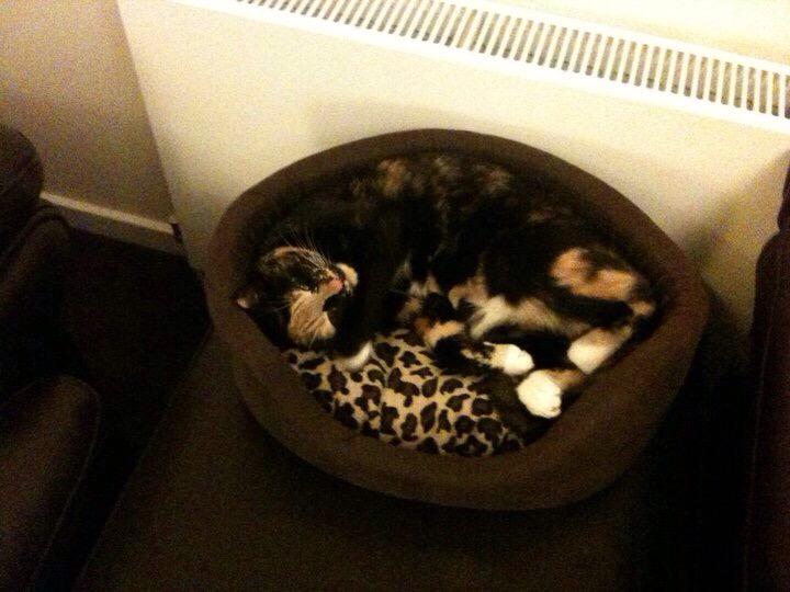 Mel Semple tweet media