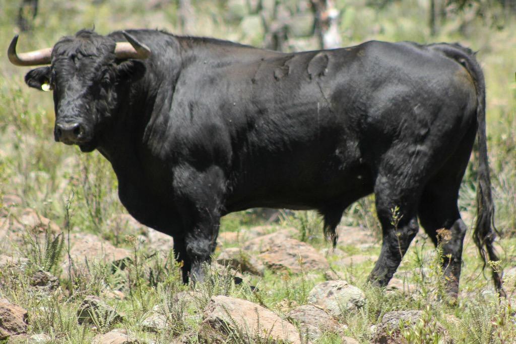 Julio Uribe Curn tweet media