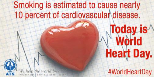 atscommunity's tweet photo. #Smoking is the second leading cause of cardiovascular disease: http://t.co/J8SSKjQpAN #WorldHeartDay http://t.co/dZF22PYOhS