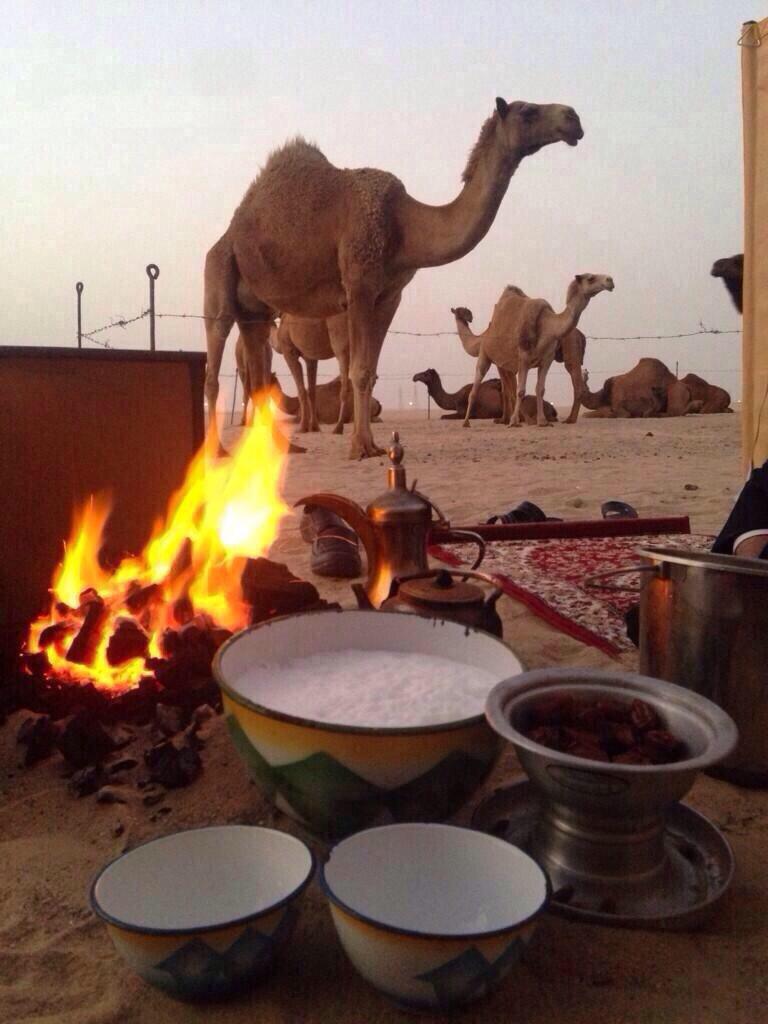 aa_alsinani's tweet photo. دلال البدو تطرب على شمّ ريح الهيل
واناعيني لشوفة هل الطيب كم تطرب 

#اليوم_العالمي_للقهوة http://t.co/Sghpa5ntKl