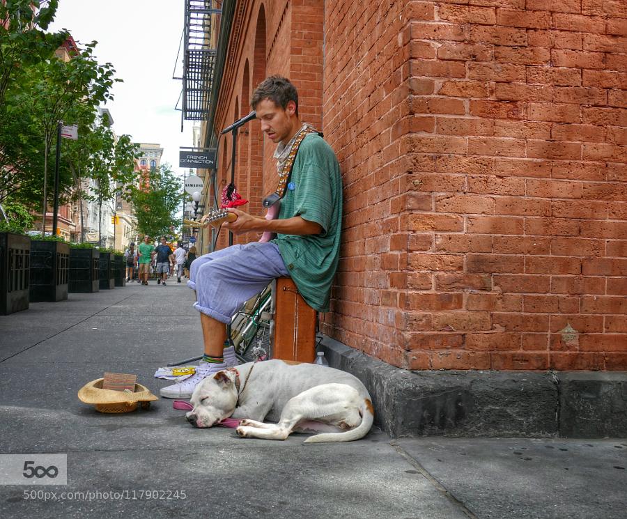 Egy szép kép az 500px-ről. Címe: Summer Acoustics ; Fényképezte: ryanshapiro