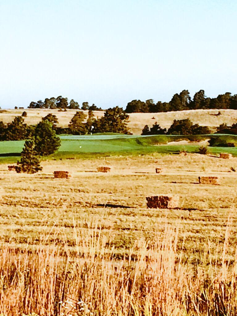theprairieclub's tweet photo. With that, we have some gifts to give! 

RT this for a chance to win Prairie Club gear! http://t.co/3cNvEo92pu