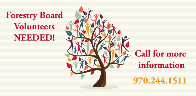 Become involved in your community! Join the Forestry Board!