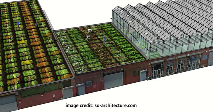 alanburchell's tweet photo. 20,000sf #farming lease avail in #NYC. #hydroponic #urbanag #greenroof #susty @greenbiztweets http://t.co/LJOqQEFpd2 http://t.co/XC1VNCXrhh