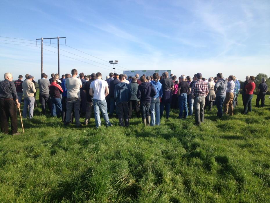 PearseKelly4's tweet photo. Last @teagasc @farmersjournal BETTER beef walk of the year. Michael Smiths Mount Nugent Co Cavan #beeftechtransfer http://t.co/XX9flHp6JJ