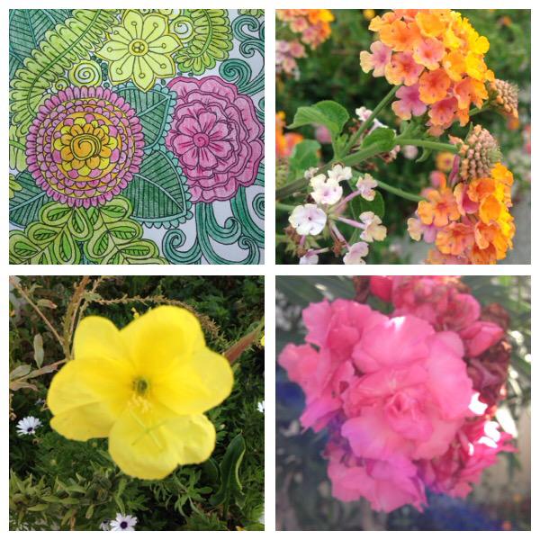 Inspired by flowers in Portugal for my <a href="/colourcalm/">Colour Calm</a> colouring book x peonieandme.blogspot.co.uk/2015/09/keepca… #KeepCalm x