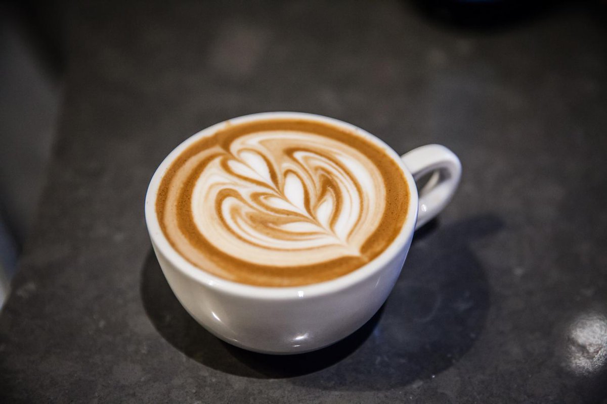 OmniNashville's tweet photo. Stop by Bongo Java 5th Avenue for our new fall seasonal drinks and custom latte art! #BongoBreak http://t.co/TvrMDeTRBe