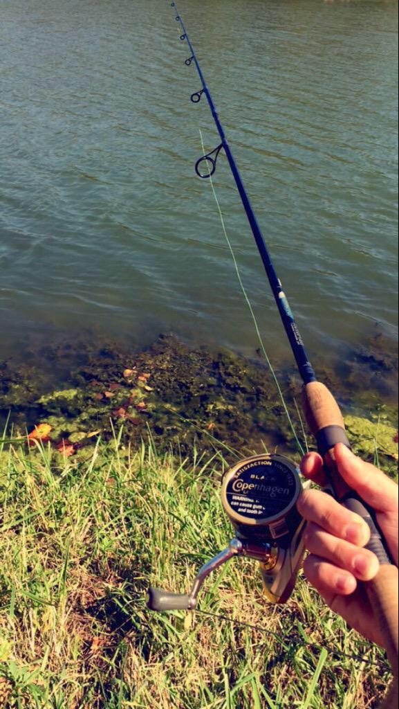 Dipsandtins's tweet image. Not sure how this real world #dipproblems