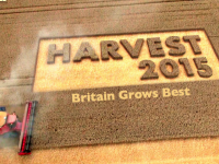New Board members sought for #Bristol #Food Network <a href="/Bristolfoodnet/">Bristol Food Network</a> <a href="/FoodBristol/">BristolFoodPolicy</a> bristolfoodconnections.com/bristol-food-n… #Bristol2015