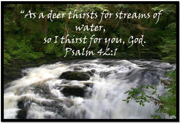 Trusting1God's tweet image. What is your favourite verse?
SHARE your #love to #God.