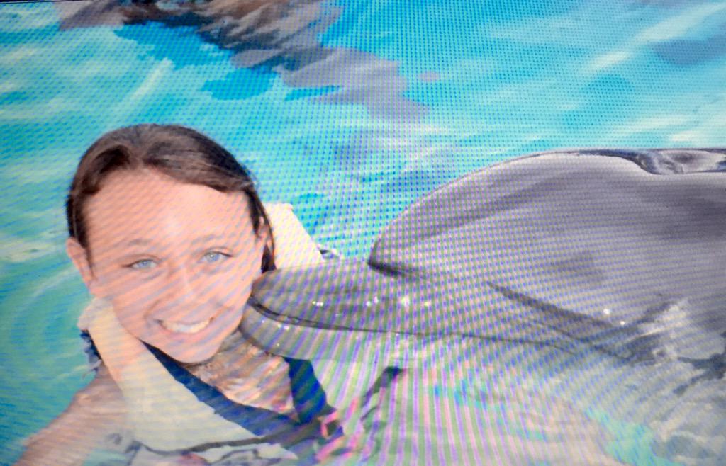 Real_ella's tweet photo. Dolphin love 💙💙💙💙 #blue eyes http://t.co/98vsUxWxDj