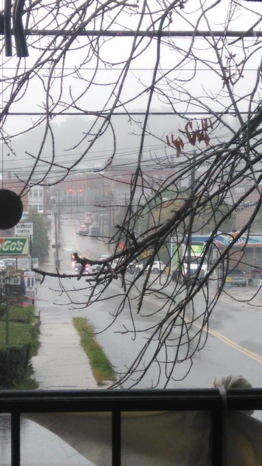 Sure wish I had a umbrella right about now. #UmbrellaRevolution #miaumbrella http://t.co/RcrwsrDtQU<a href="/tag/umbrellarevolution"class="tags">#UmbrellaRevolution</a><a href="/tag/miaumbrella"class="tags"><span>#miaumbrella</span></a>