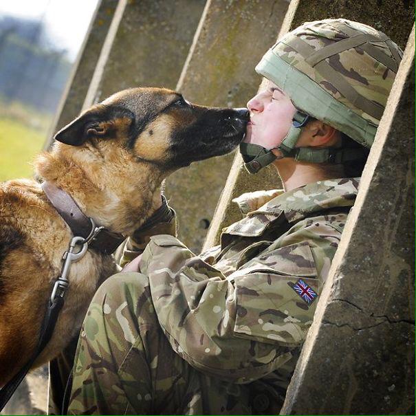 DogTreatNews's tweet image. RT #mybaseguide: j.mp/1zAfMow RT cooldogfacts: “If by my life or death I can protect you, I will. ” -J…