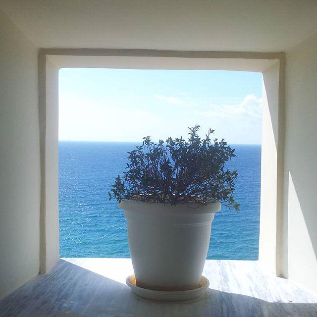 Tysntny's tweet photo. Corfu Monistery window #corfu #sea #views #plants #_global #like #4gram #webstegram #pictureoftheday #photooftheday… http://t.co/JfgB9rSZNJ