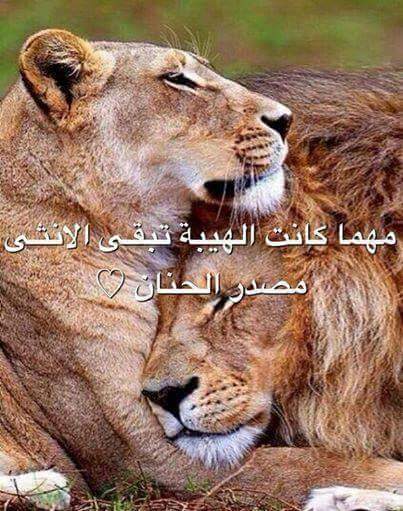 saidnasri8's tweet photo. http://t.co/DJTOy1xfx5
