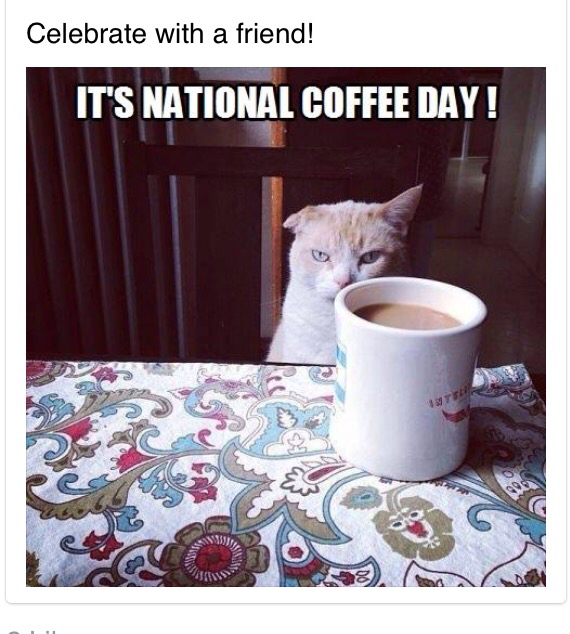 Starbucks The Hub tweet media