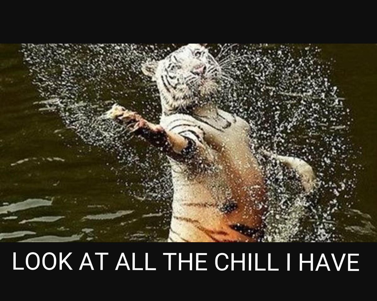 BunnyCakes13's tweet photo. #gotchill? #nochill #getsome http://t.co/6zQHFqlxPE