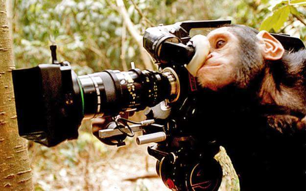 GorillaProducer's tweet photo. We #supportindiefilm 
http://t.co/G3uhrog1Lw
You should too http://t.co/hZsTCB2yi0