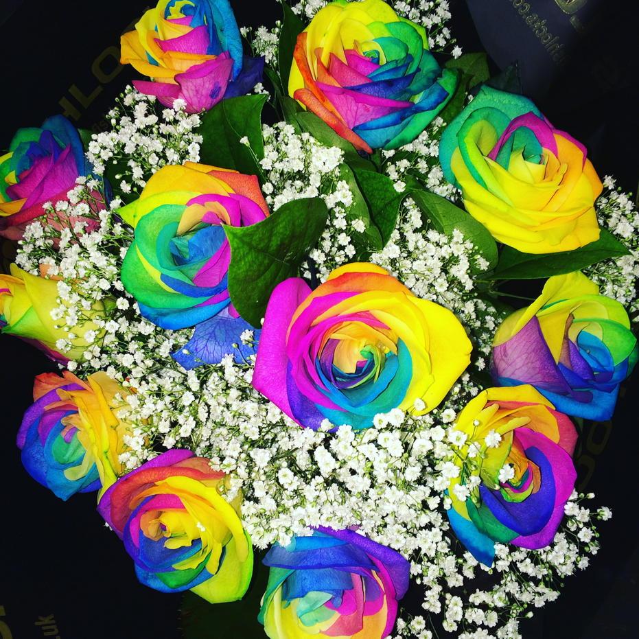 FishlocksFlower's tweet photo. 12 rainbow roses ๐๐ #rainbowroses #fishlocksflowers http://t.co/Lsv0bKh98Y
