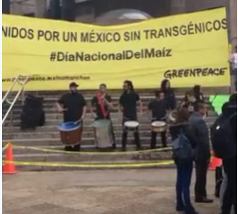 132Ambiental's tweet photo. #DíadelMaíz #DíaNacionaldelMaíz @RedMaiz @hijadlmaiz @CarnavaldelMaiz @132extranjero https://t.co/zByh7ceuap http://t.co/7GCIfOL3KJ