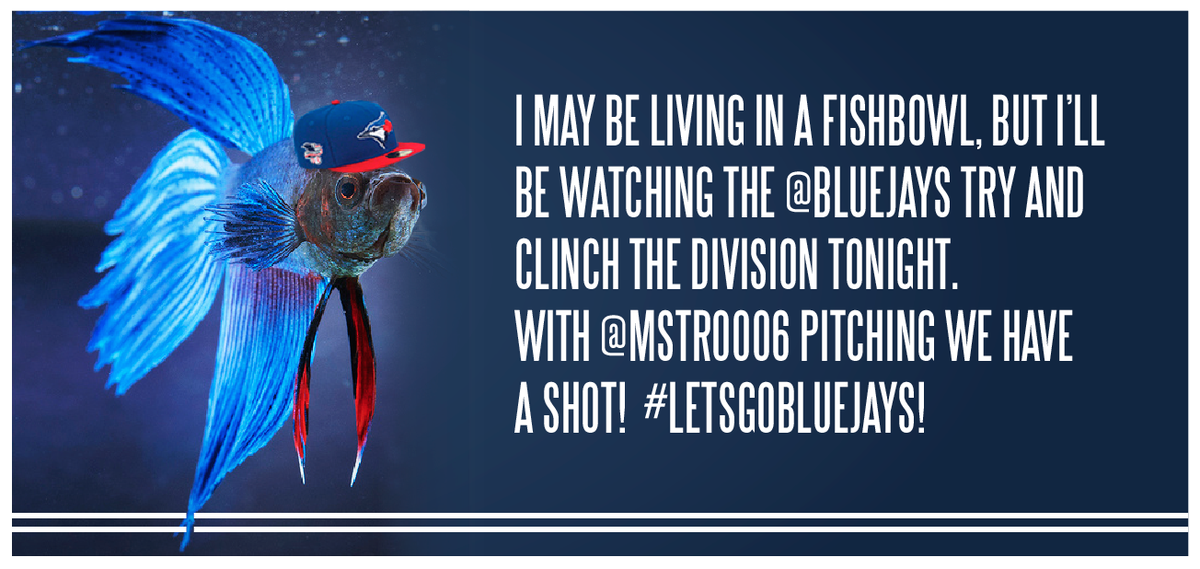 Vectorlwdg's tweet photo. Hey @MStrooo6, @Vectorlwdg has a MSG for you!
@BlueJays @DAVIDprice14 @russellmartin55 #postseason #22DaysBlueJays http://t.co/KA0WPEzXJV