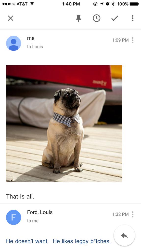 NancyHFord's tweet image. ... My husband. #dogparentproblems