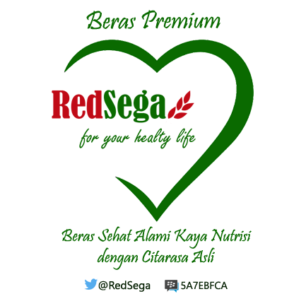 RedSega tweet picture