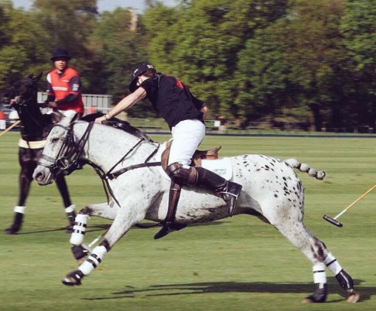 maxcharltonpolo's tweet photo. The legend that is spotty one of my favourite #polo #ponies playing @guardspoloclub http://t.co/Rdh0jMZLXE