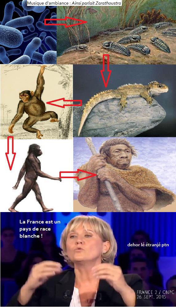 Histoiresumee's tweet photo. L'évolution en échec, #RésuméExhaustif http://t.co/zyPks4Yp3y