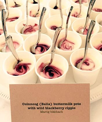 Rua_Mayo's tweet photo. Blackberry ripple @cuinneogdairy buttermilk pots | Maróg Bláthach 

@Gno_MhaighEo @GMITihubs 
#Spirit15 http://t.co/0vRhl2Ofum