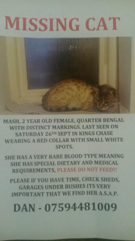 Tonicarrington's tweet photo. Last seen Saturday very early hrs in Kings chase, Brentwood
She is chipped and neutered
#Brentwood #Lost #essex http://t.co/WRgmKxfmkr