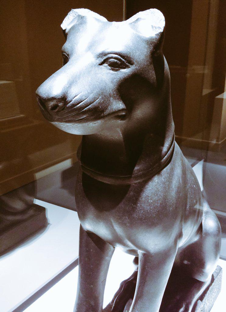 LovedBarcelona's tweet photo. Some of the pieces of the exhibit "Animals and Pharaohs" in Barcelona by @CaixaForum_CAT #animalsifaraons http://t.co/XlcpleTerZ