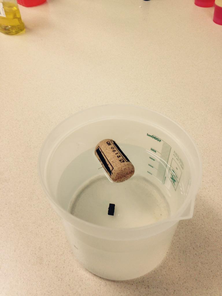 A Student made his own compass out of a cork,magnet and sewing needle <a href="/HenryMossMiddle/">Henry Moss Middle</a> <a href="/WarrenCoSchools/">Warren Co Schools</a>