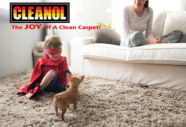 CleanolClean's tweet photo. #CleanolClean Book your free consultation today. #upholsterycleaning #Toronto #cleanhome #pets http://t.co/OdAaylQdyh
