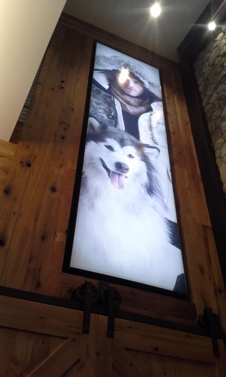 TotalSignsCa's tweet image. Flex Face Banner system @SPORTINGLIFECAN in the new @sherway_gardens Fabricated and installed by @TotalSignsCa