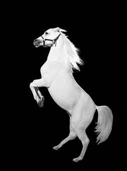 select_mag's tweet image. IMAGE of the Week - Andrea Sabatello - select-magazine.com/portfolio.php?…