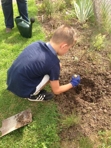 Diane has been working really hard on the garden with help from Ashton Vale residents. Come along on Sat 10.30-4pm.