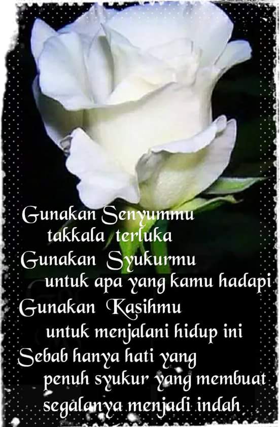 Yuliet On Twitter Selamat Pagi Selamat Beraktifitas Tuhan Yesus Sayang Selalu Http T Co Lc056f1h71 Twitter