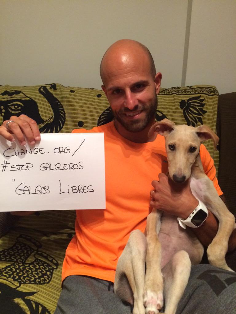 #noalmaltratoanimal 
#STOPGALGUEROS