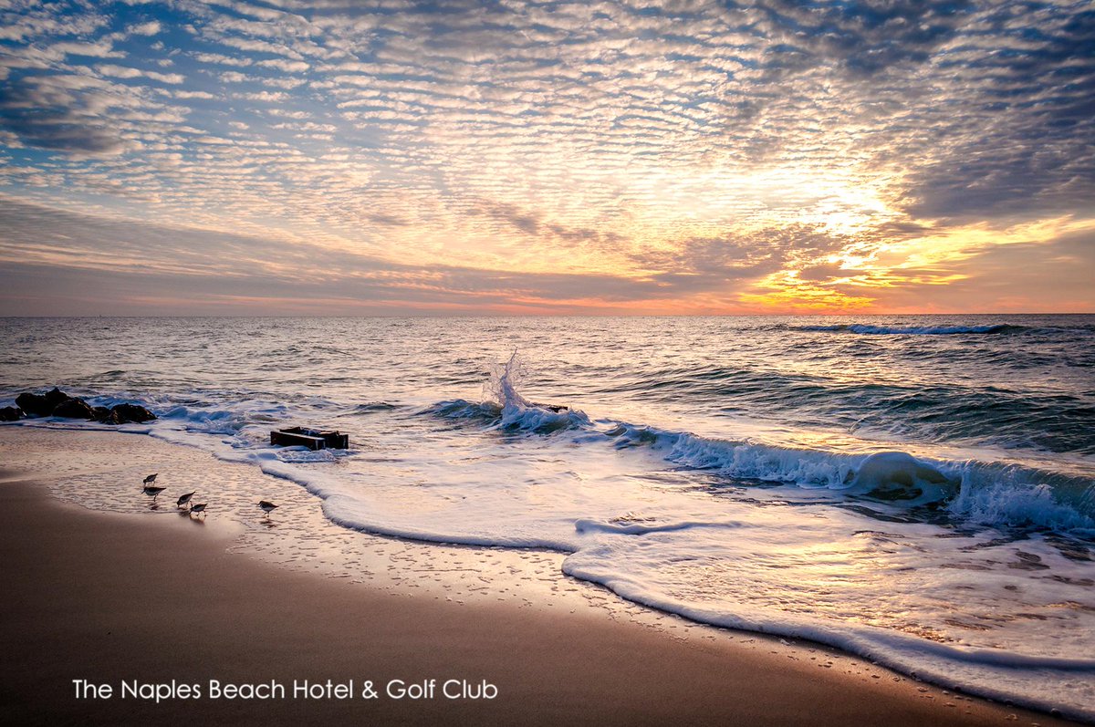 Naples Beach Hotel tweet media