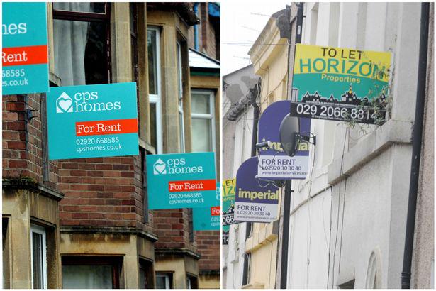cardiffonline's tweet image. Ban on letting boards on homes set to come into force from Thursday walesonline.co.uk/news/wales-new…