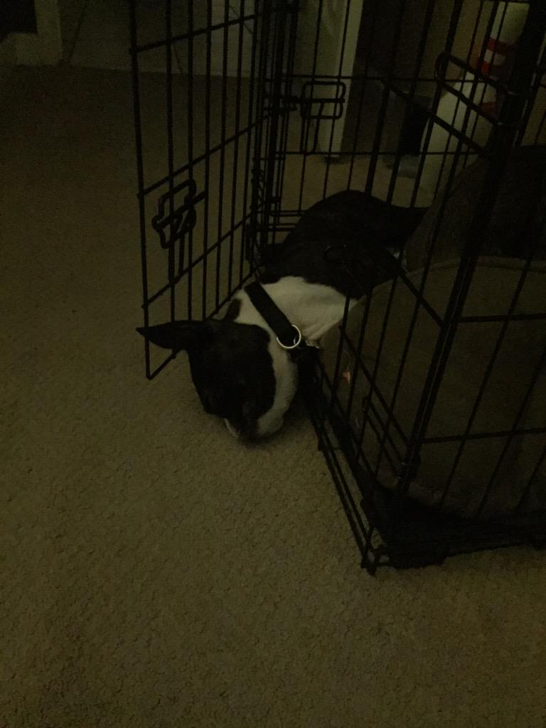 bryansbird's tweet photo. When you party too much @ghetocx http://t.co/fJUAyLhNhv